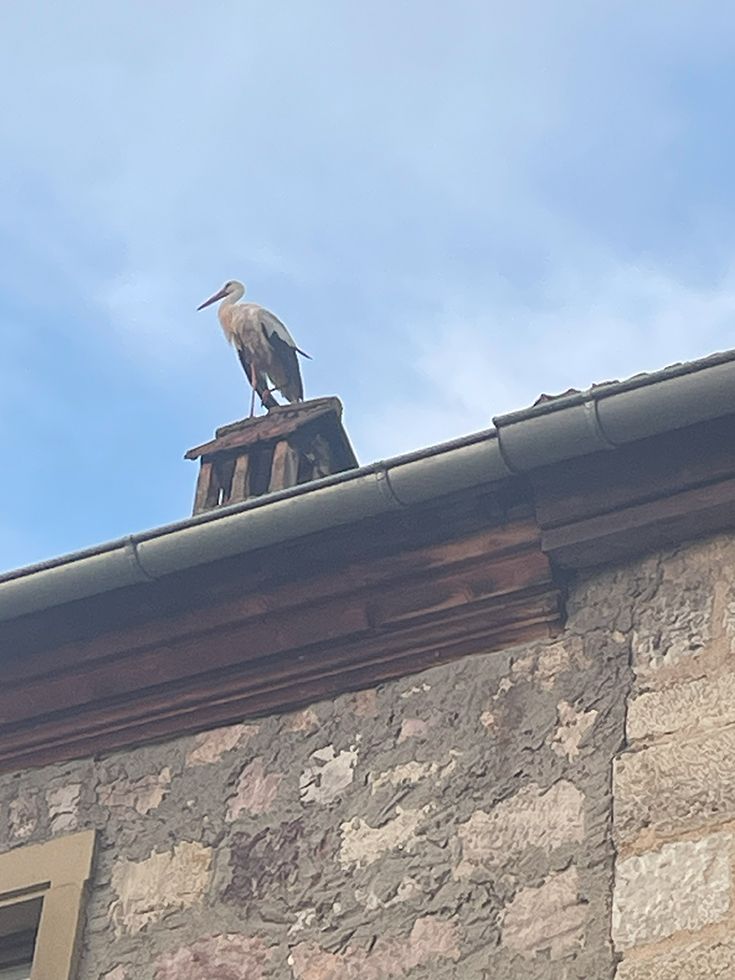 Tag der Infanterie 2024, Infanterieschule der Bundeswehr, Hammelburg