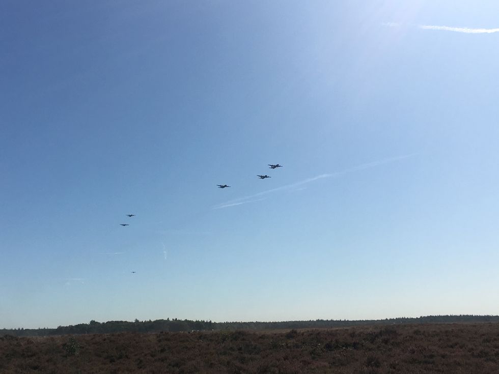 Marked Garden 2019 C130